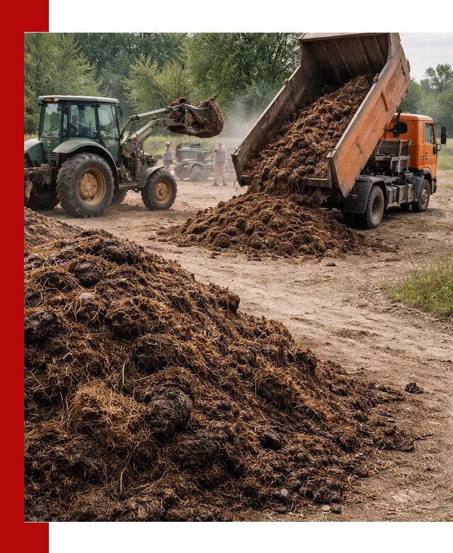 Доставка навоза самосвалами в Костомукше для сельхозпотребностей